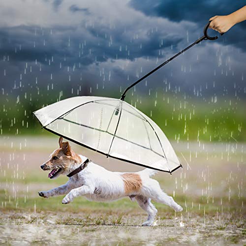 Namsan Hunde Regenschirm mit Leine Hunde Regenjacke für Spaziergänge im