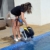 time4wellness Dolphin E20 Poolroboter Poly Filter Compact Tube 18 Kugeln Filtermedium - 6