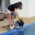 Dolphin E25 Automatischer Schwimmbad-Reinigungsroboter. Handlicher, leichter und einfach zu reinigender Sauger. Ideal für in den Boden eingelassene und auf der Erde aufgestellte Schwimmbecken - 7