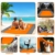 ISOPHO Picknickdecke 200 x 210 cm Stranddecke Wasserdicht, Strandmatte 4 Befestigung Ecken Stranddecke Sandfrei/Picknick für den Strand, Campen, Wandern und Ausflüge(Orange) - 3