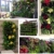 L & H Gadgets Vertikaler Hängepflanzer mit 7 Taschen für Kräuter oder Blumen, Pflanztasche für Hof, Wohnungen, Balkon, Terrasse, Schulhof und Garten - 2