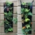 L & H Gadgets Vertikaler Hängepflanzer mit 7 Taschen für Kräuter oder Blumen, Pflanztasche für Hof, Wohnungen, Balkon, Terrasse, Schulhof und Garten - 6