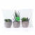 OUNONA 3 Stücke Künstliche Sukkulenten Pflanzen mit Töpfen Tischdeko Haus Balkon Büro Deko - 9