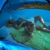 outdoorer große Strandmuschel zum Verschließen Santorin Family - UV 80 Sonnenschutz-Zelt mit Moskitonetz und Belüftung, XXL Strandzelt, leicht, Alugestänge, kleines Packmaß für Reisen - 4