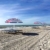 SPRINGOS Sonnenschirm Strandschirm mit Kippfunktion Gartenschirm mit Flamingos (Weiß/Marineblau) - 4