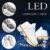 Fbestxie Roller Skates Skating-Schuhe Für Männer Und Frauen Automatische Wanderschuhe Für Erwachsene Unsichtbare Riemenscheibenschuhe Skates Mit Zweireihigem Deform-Rad,High Help,39 - 3