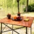 EVER ADVANCED Campingtisch Klapptisch mit Aluminium Tischplatte faltbar leicht klappbar tragbar mit Tragetasche 70 x 70cm für Camping Garten Party Picknick Balkon braun - 6