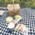 Yoveme Faltbare Picknickdecke wasserdichte Unterlage Camping Outdoor Beach Festival Teppichmatte - 2