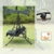 Loywe Hollywoodschaukel Gartenschaukel Moderne Gartenliege Outdoor Schaukelbank mit Liegefunktion 190x135x170cm LW10 Schwarz - 3