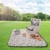 GOODS+GADGETS Picknickkorb für 4 Personen - Luxus Weidenkorb für Picknick mit Picknickdecke und Kühltasche - 7