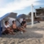 Sport-Brella Umbrella Sonnenschirm für Strand und Garten, Robust, Schutz vor Sonne, Regen und Wind, Mit Tragetasche, Blau, 54'' / 136cm - 7