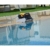 Dolphin E40i Poolroboter mit PVC Bürste Modell 2022 - 3