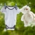 PUMYPOREITY 2 Stück Strandtuchklammern Groß Kunststoff Quilt Clips Winddichte Klammern Clips Boca Clips Wäscheklammern Handtuchklemmen für Strandtuch, Badetuch, Handtuch, Kleidung (11.5*3.8*8.5CM) - 5