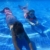 BAWADE Meerjungfrauenflosse für Mädchen – Meerjungfrau Flosse Schwimmen Meerjungfrauenschwanz Passend für 110-170cm Höhe, Mehrfarbig (G-03), 150 - 6