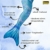 Idena 40603 - Meerjungfrauen-Schwanz mit Monoflosse, Größe XS/S, in Blau, Meerjungfrauen-Flosse für Kinder ab 6 Jahren, zum Schwimmen und für aufregende Tauchabenteuer im Wasser - 2